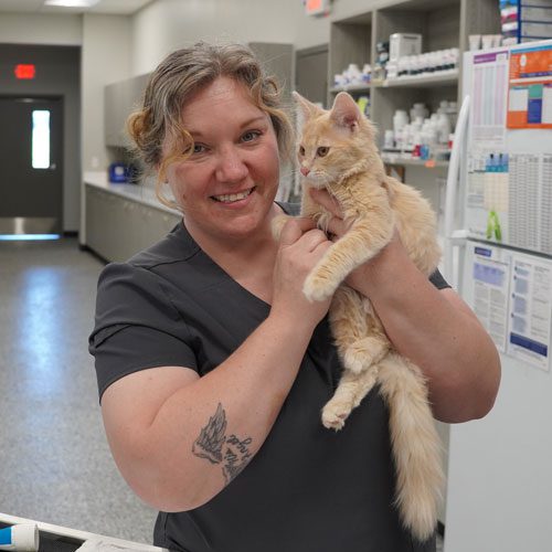 Vet Tech Holding Cat