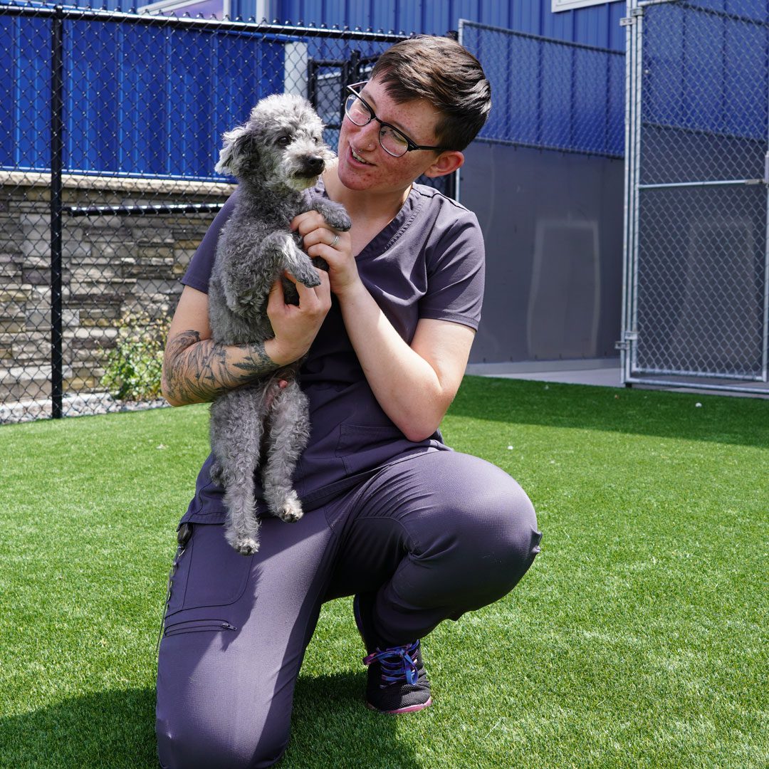boarding attendant kneeling to pick up small dog