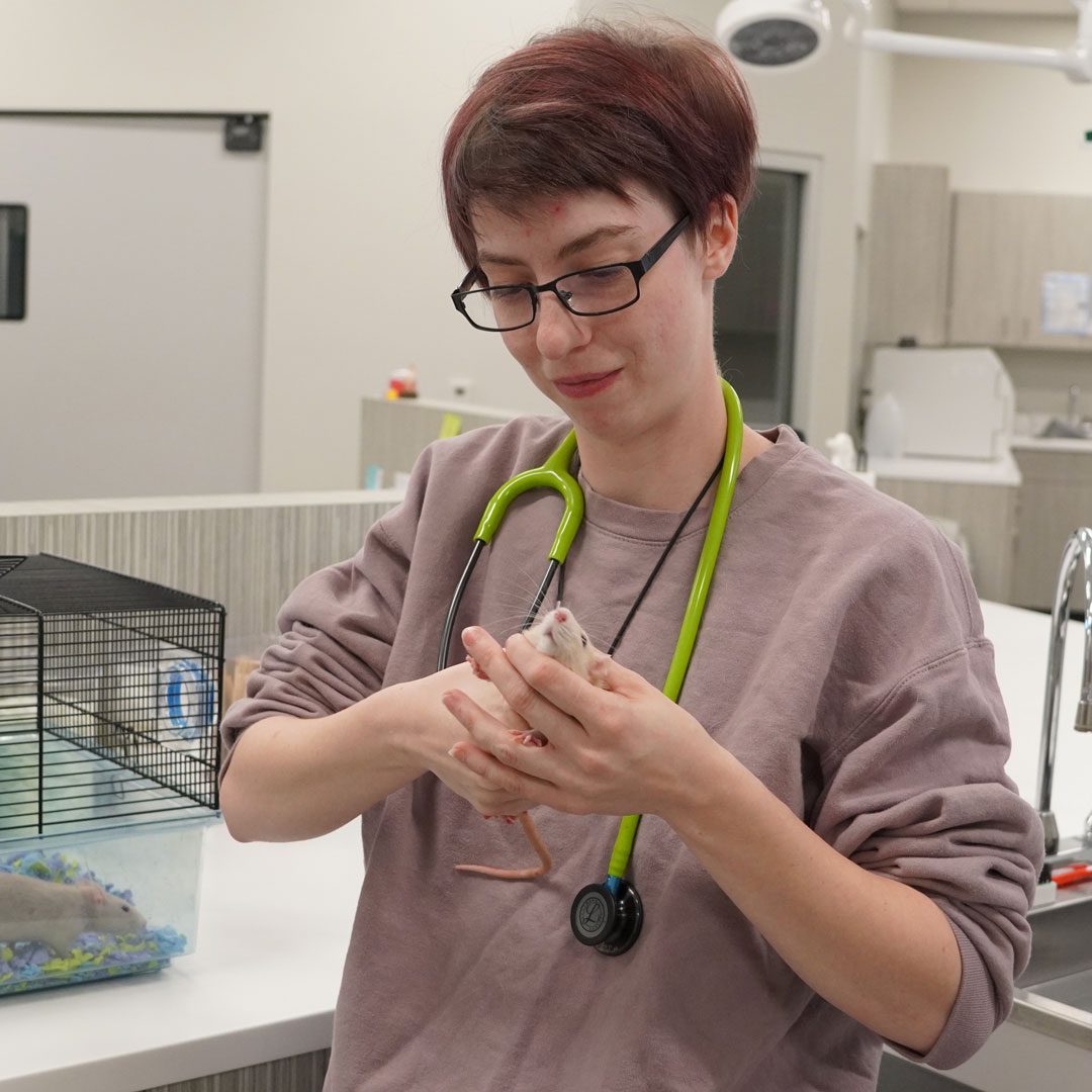 female veterinarian holding a mouse