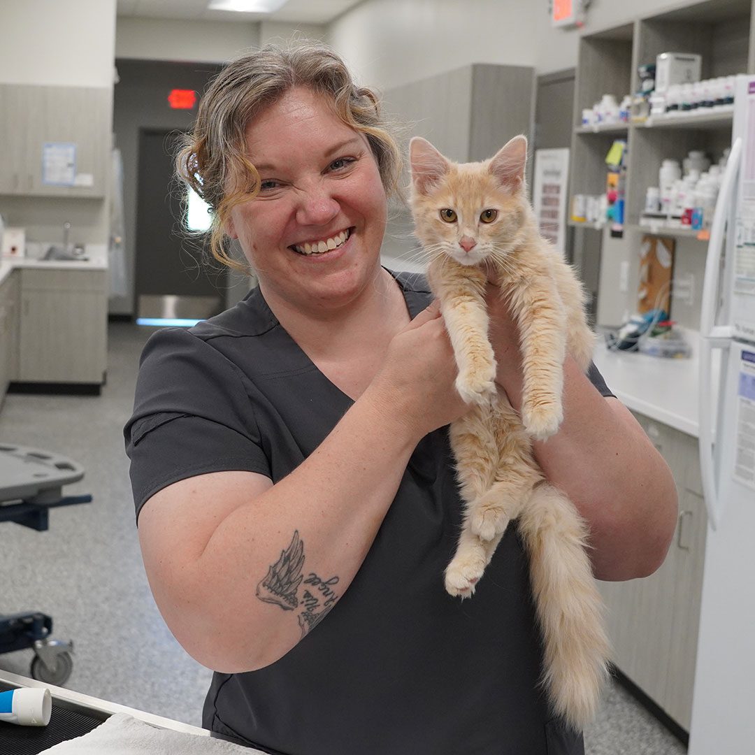 vet tech smiling big while holding a light orange kitten