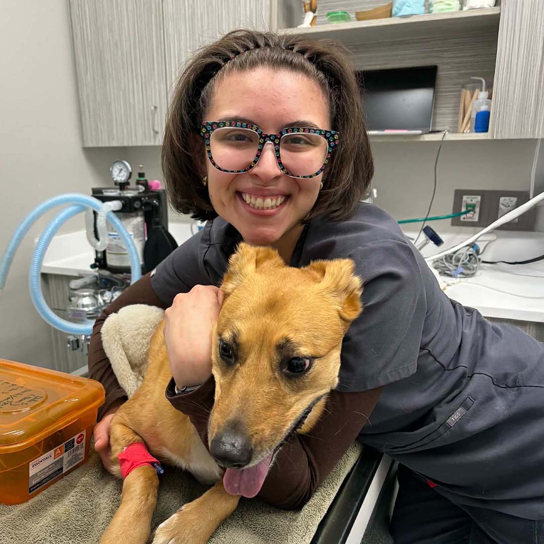 female tech holding a happy brown dog on an exam table and smiling at the camera