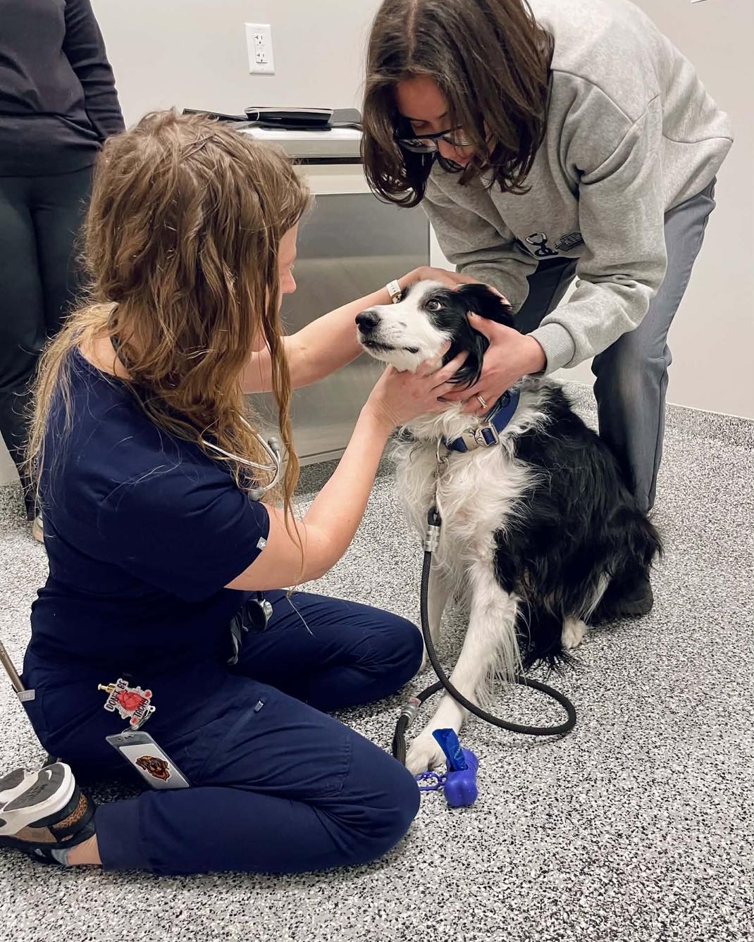 Vet Tech With Dog